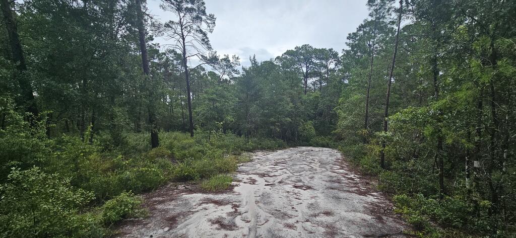 1008 Sunset Cir, 32322