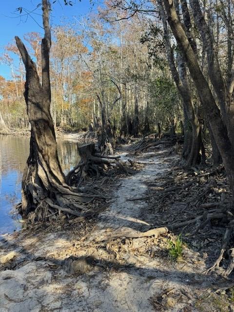 Lot 2 Mcclellan St Se, 32449