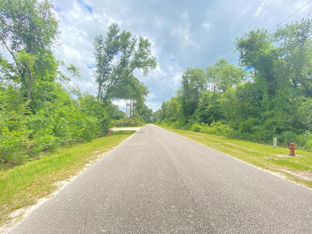 Lot 1 Land Dr, 32465