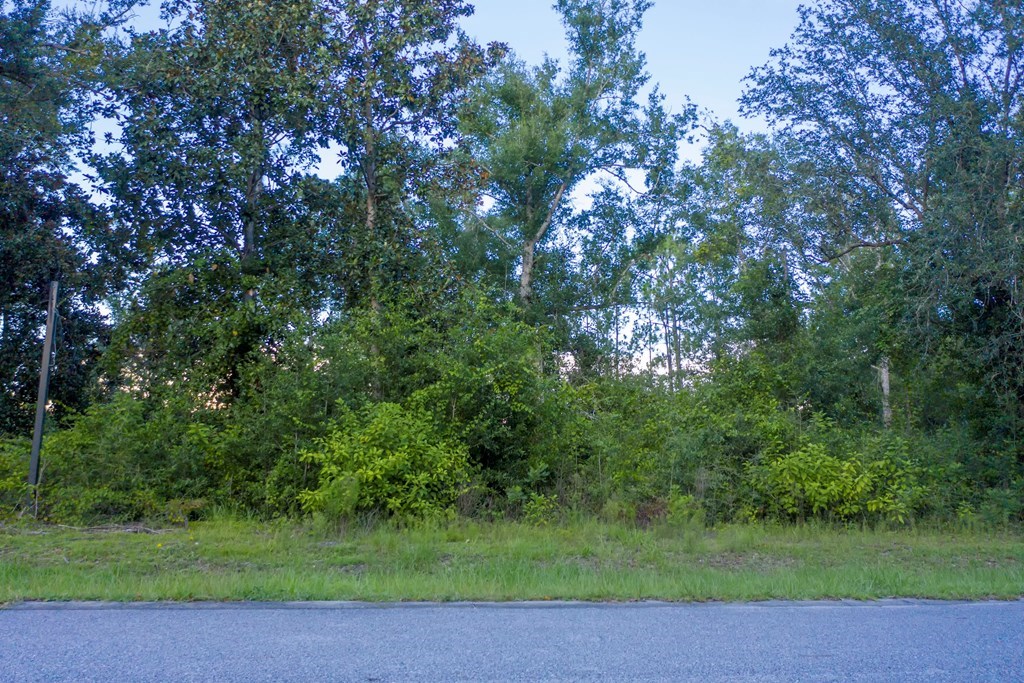 Lot 1 Land Dr, 32465