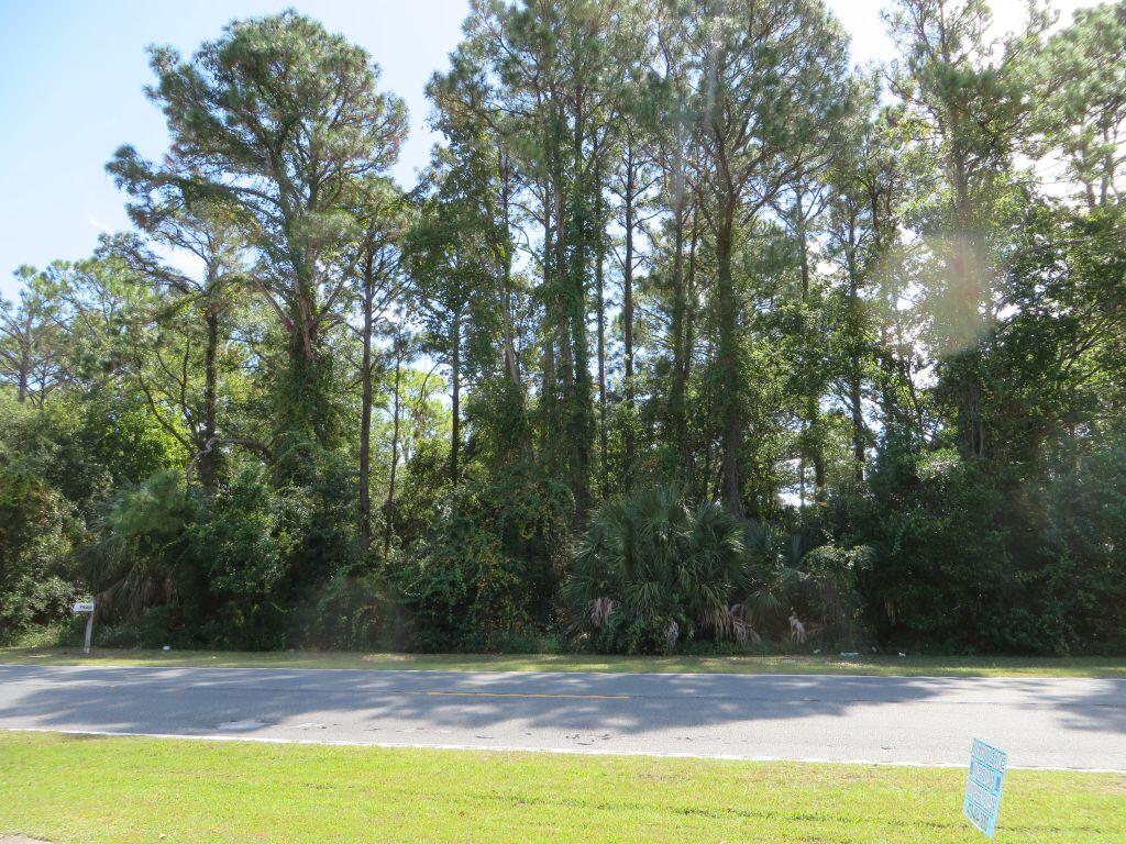 Wooded vacant lot with tall pines, dense palmettos, and frontage along a road.