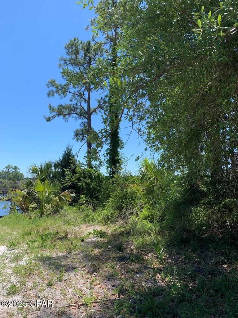 519 Shellys Loop Road