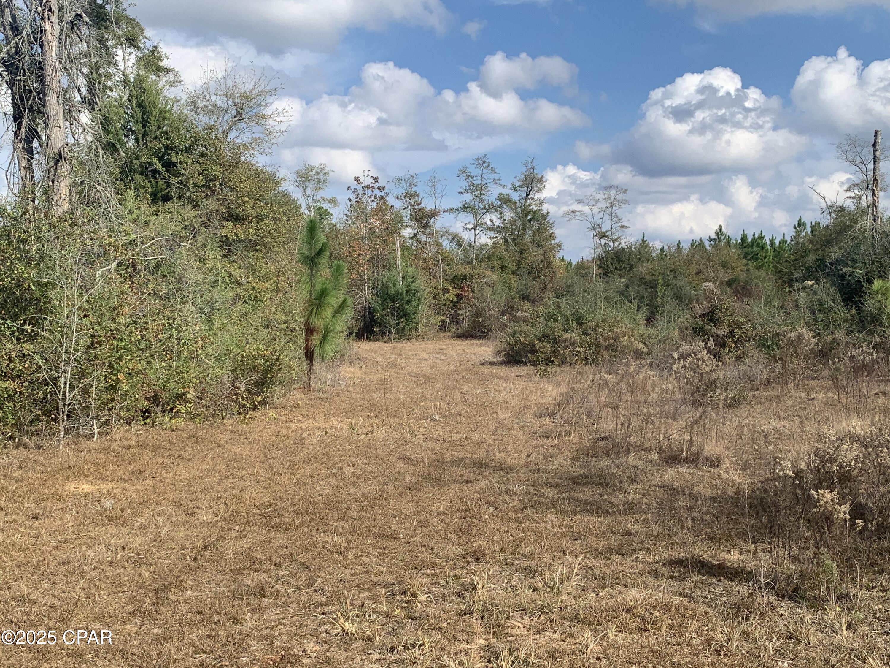 8225 SW County Road 12