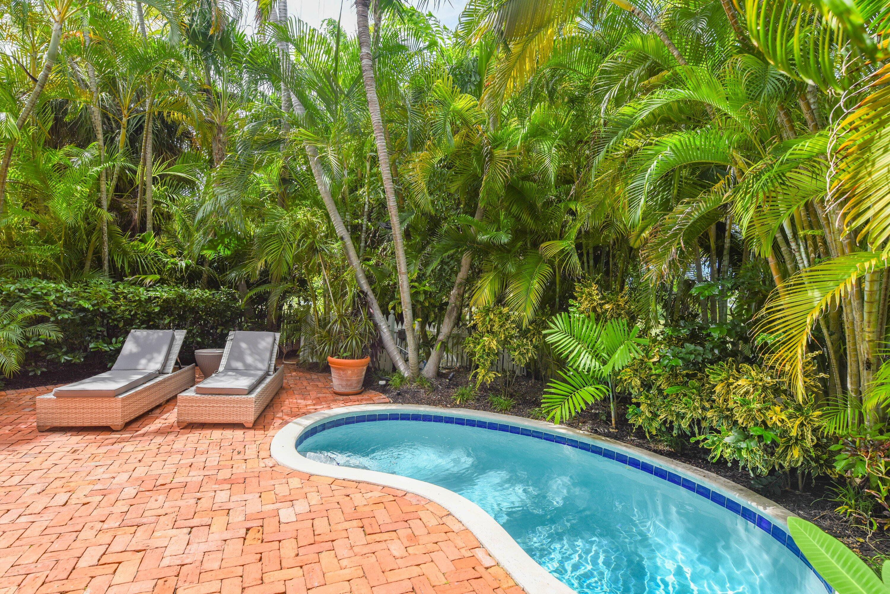 Curved pool beside a brick patio with two loungers, surrounded by dense tropical palms.