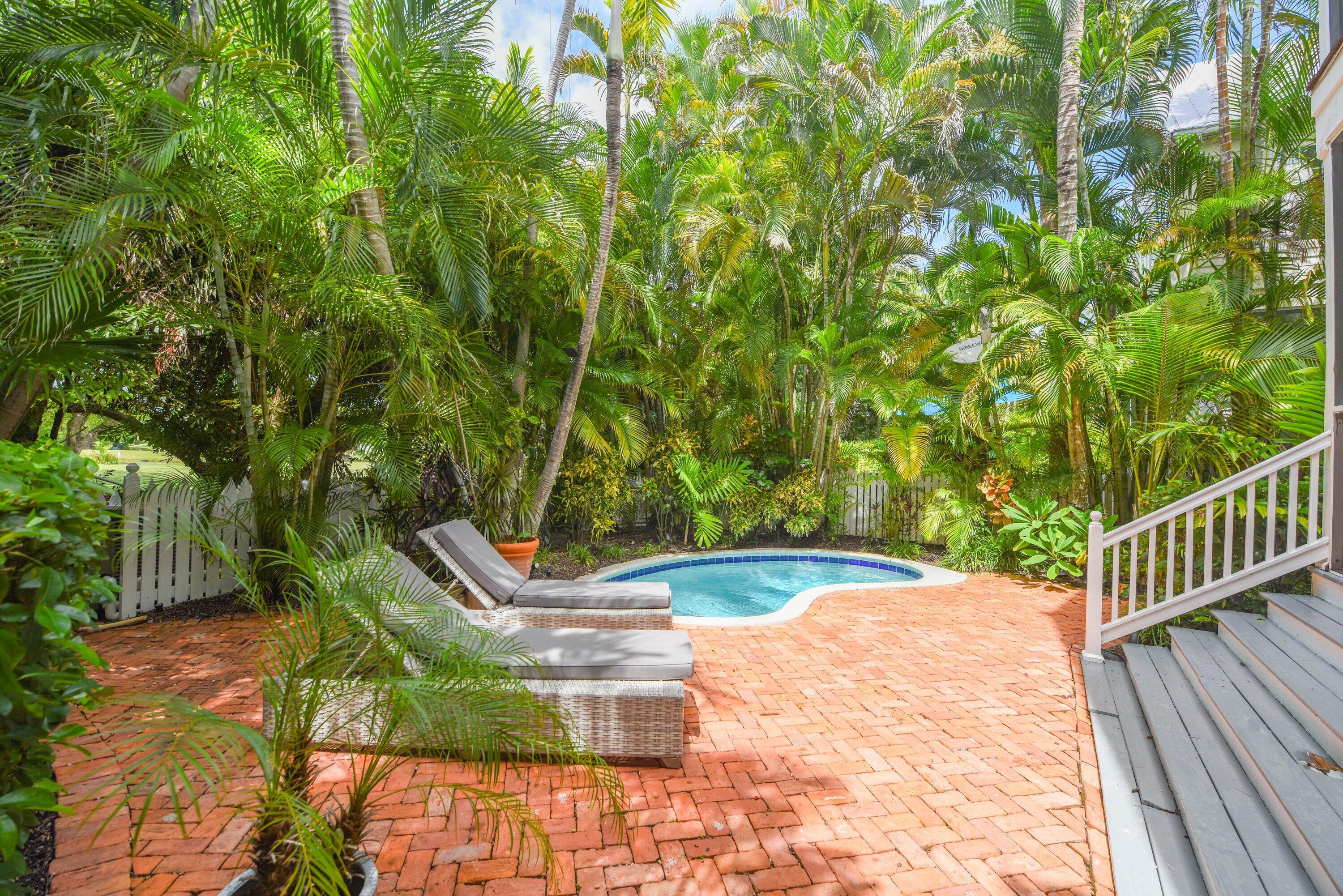 Small curved pool and cushioned loungers on a brick patio, shaded by dense tropical palms.