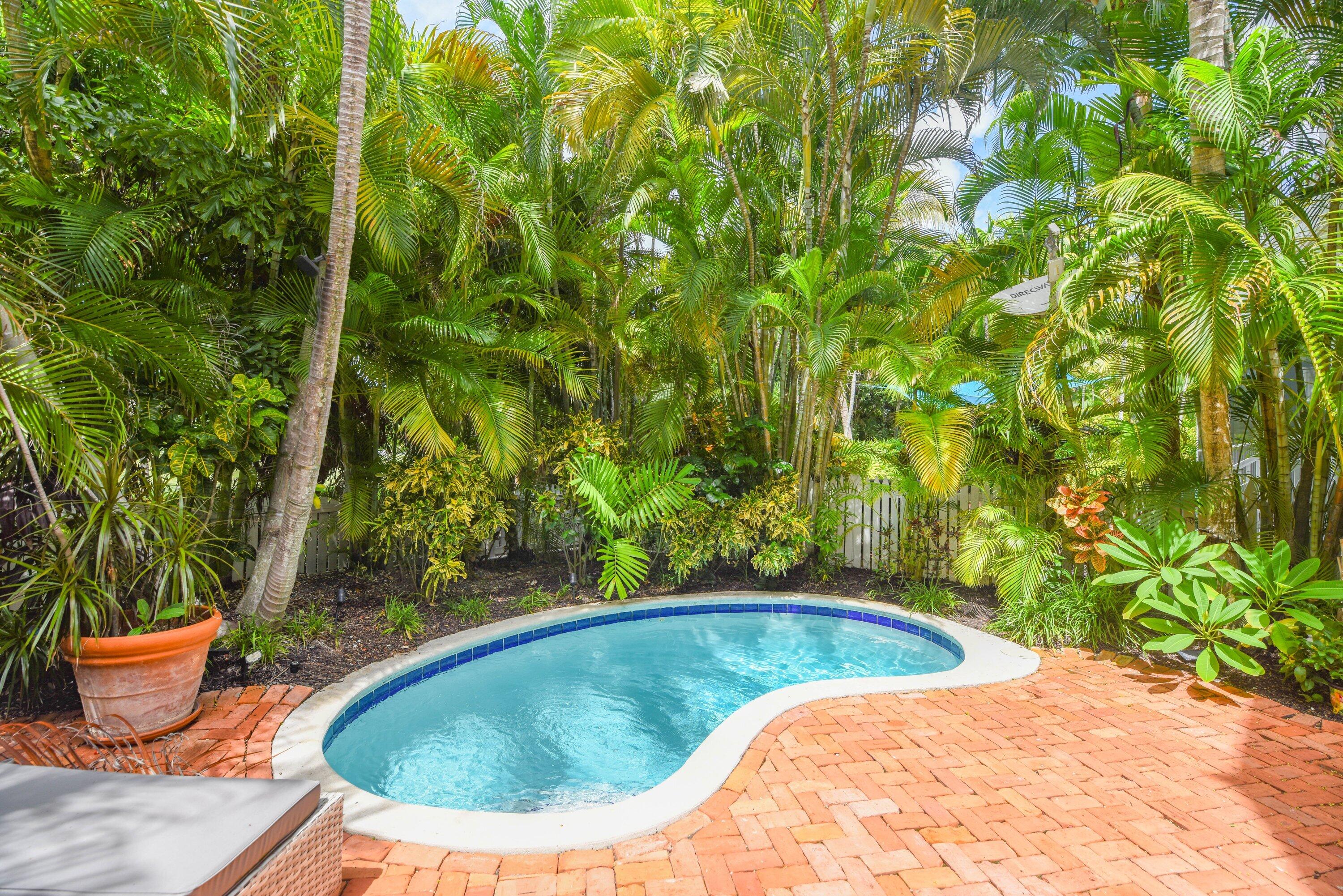 Curved swimming pool in a brick patio, surrounded by dense tropical palms and lush landscaping.