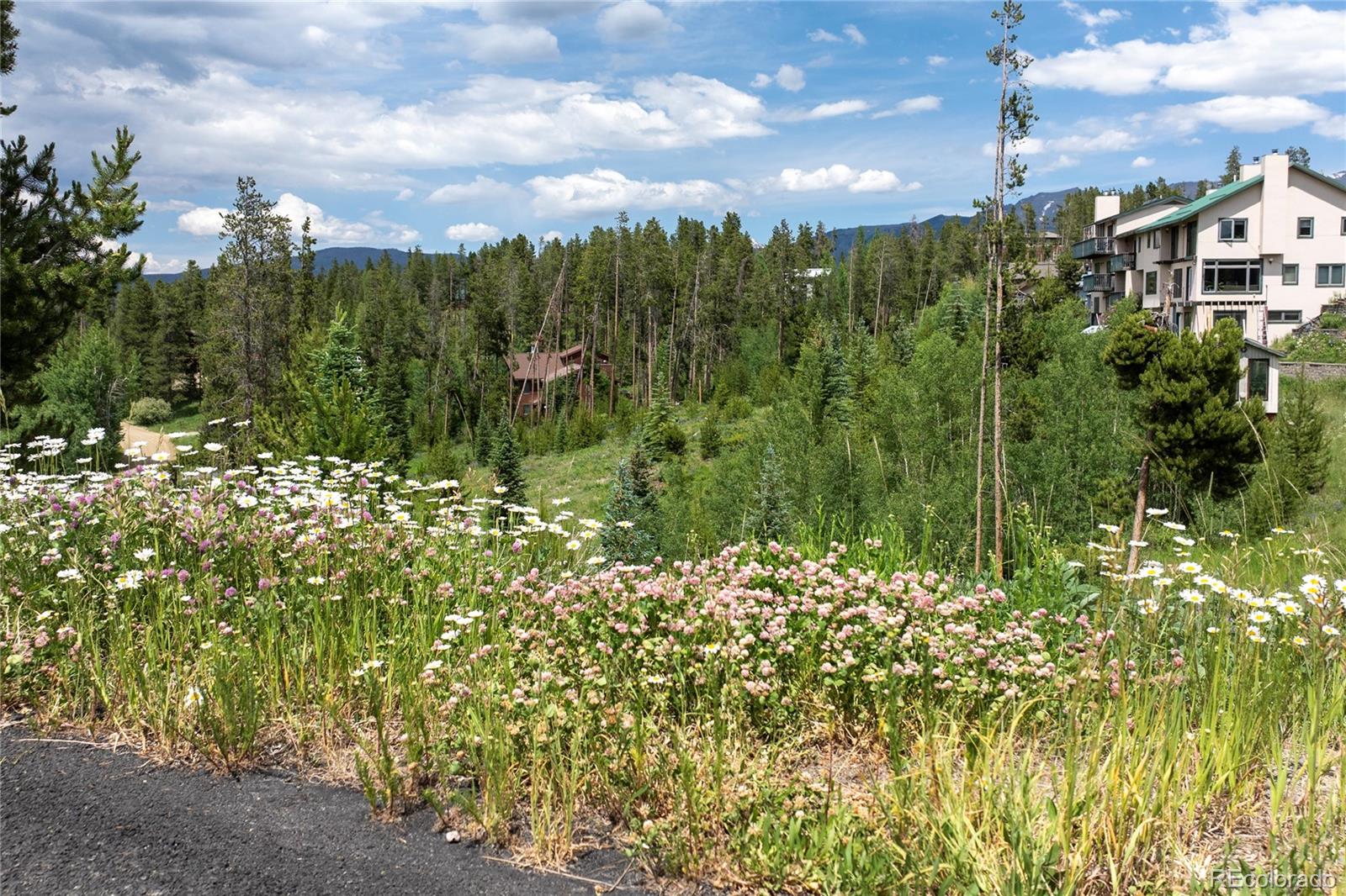 Wildflower-covered hillside overlooking pine forest, mountain ridges, and a multi-story building.