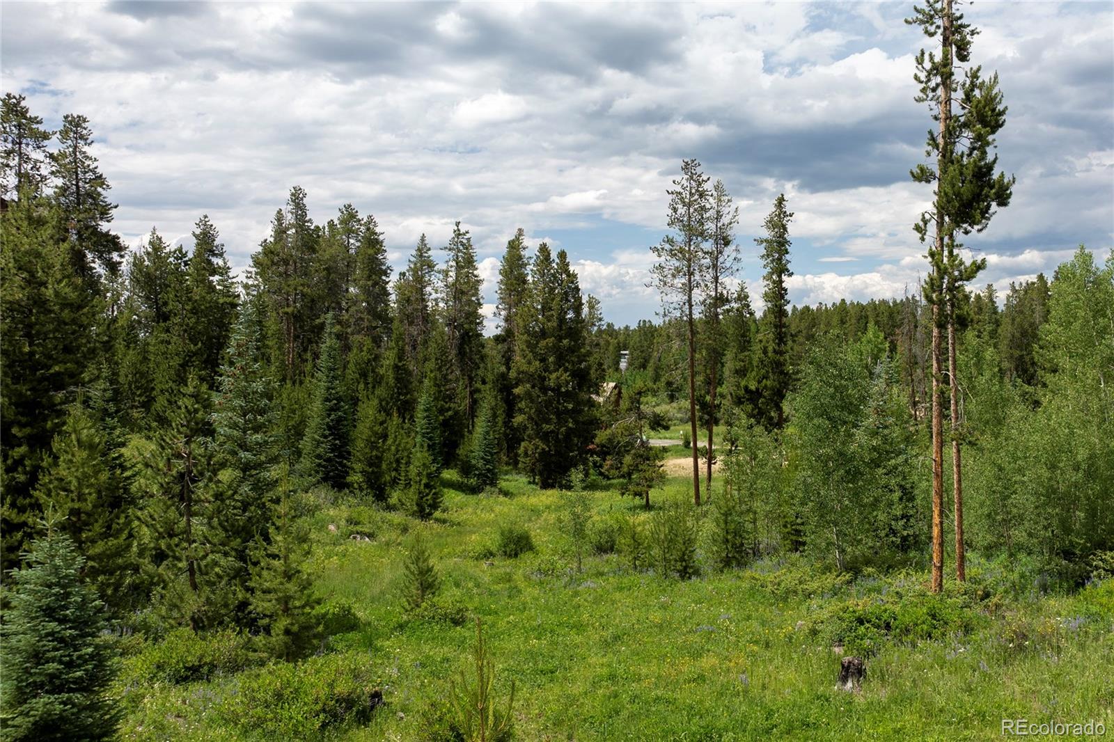 Wooded vacant lot with a grassy clearing and mature pine trees beneath a cloudy sky.
