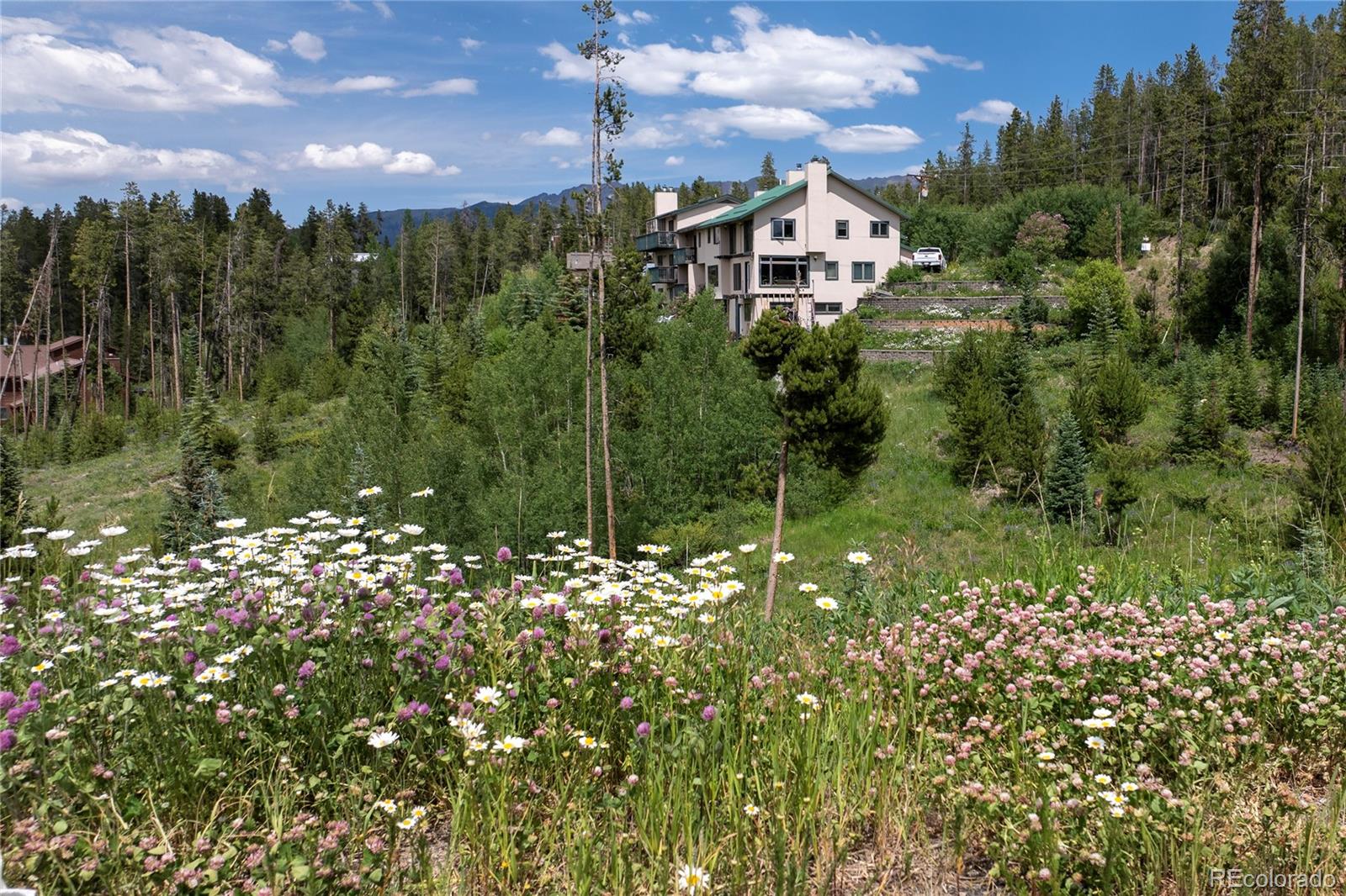 Multi-level mountain home among pine trees, above a wildflower meadow with mountains in the distance.