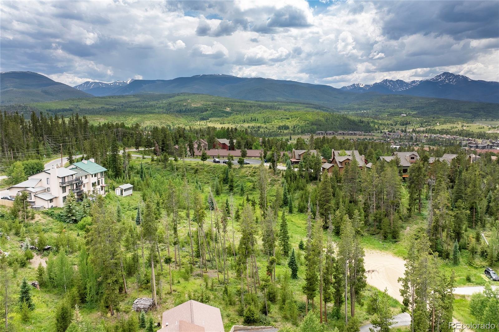 Aerial view of a wooded residential area with homes and distant mountain peaks.