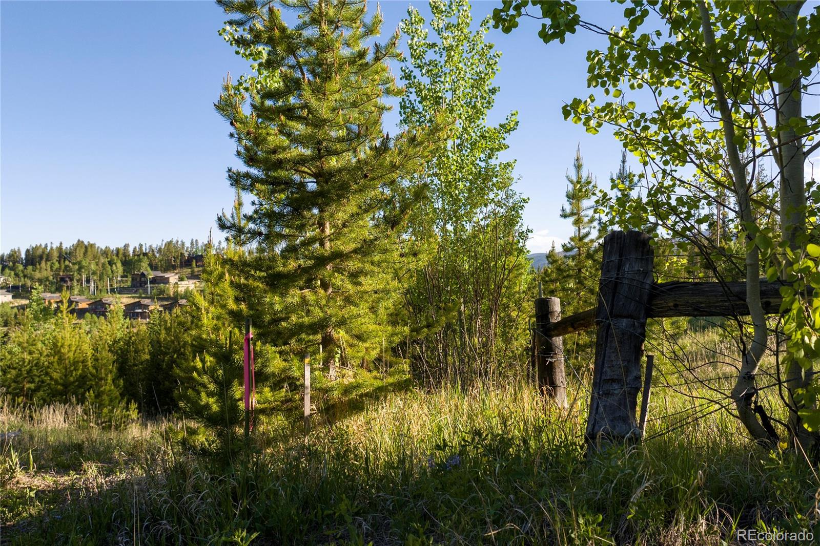 1414 Pioneer Trail