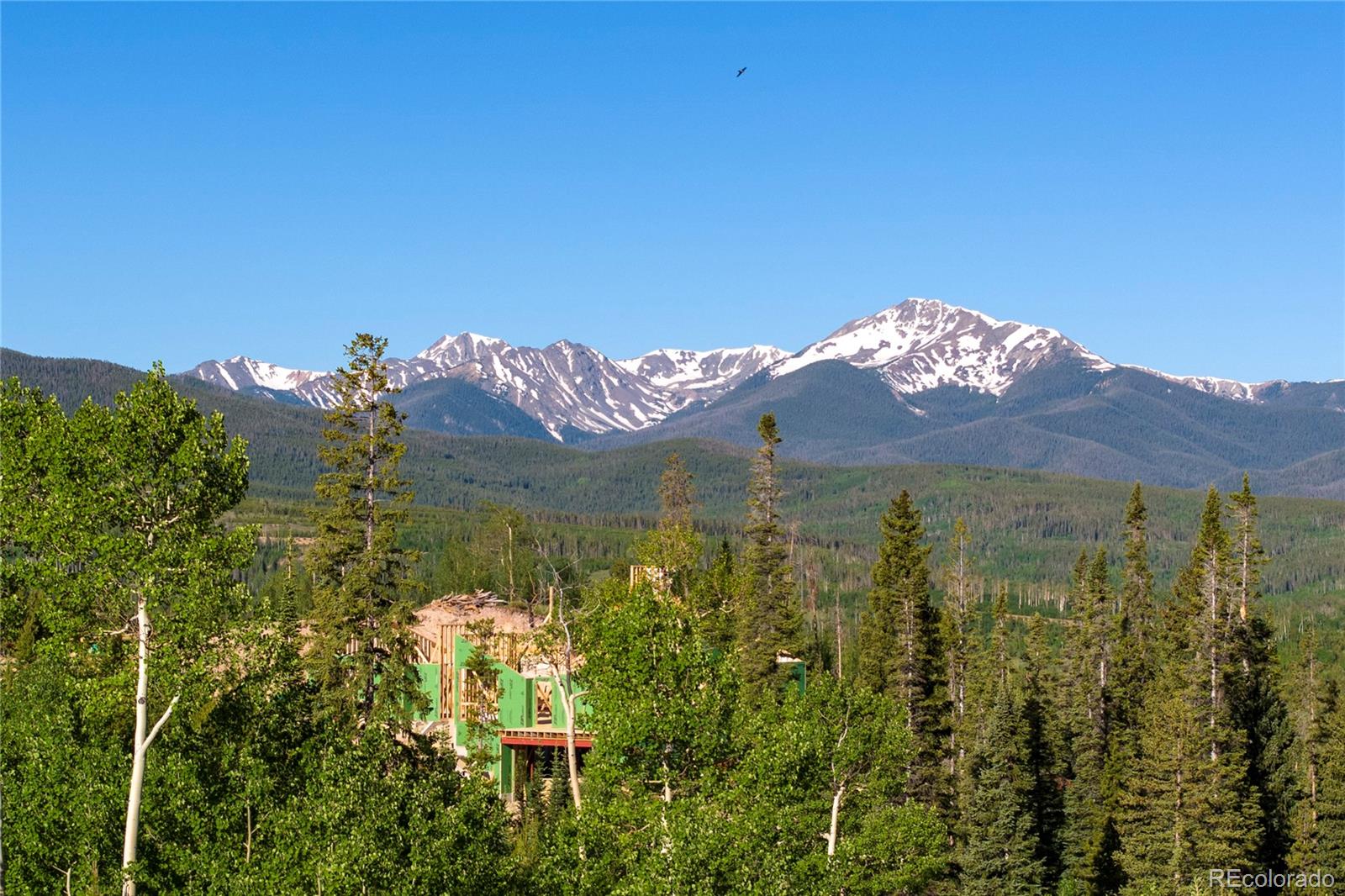 1414 Pioneer Trail