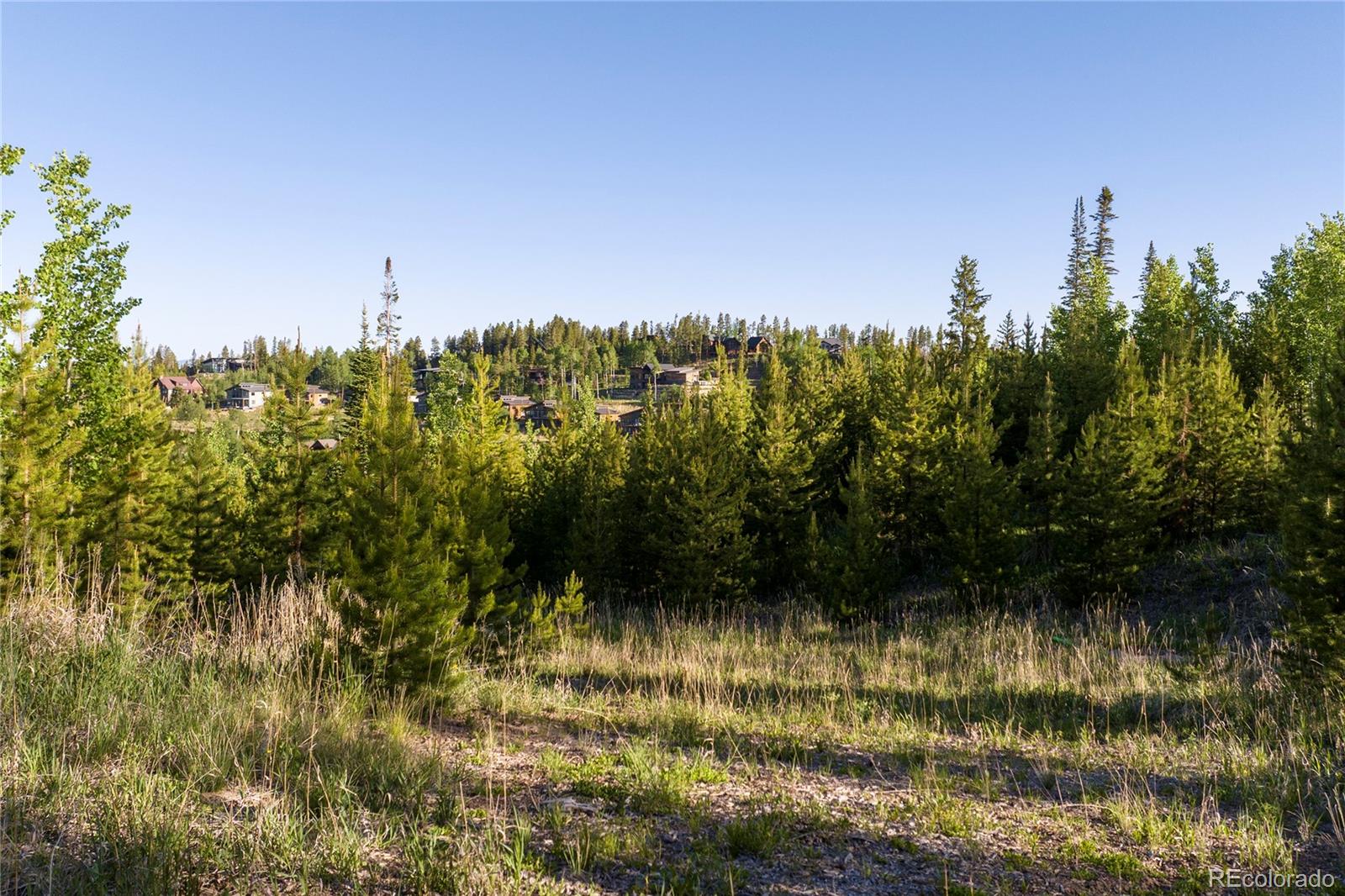 1414 Pioneer Trail