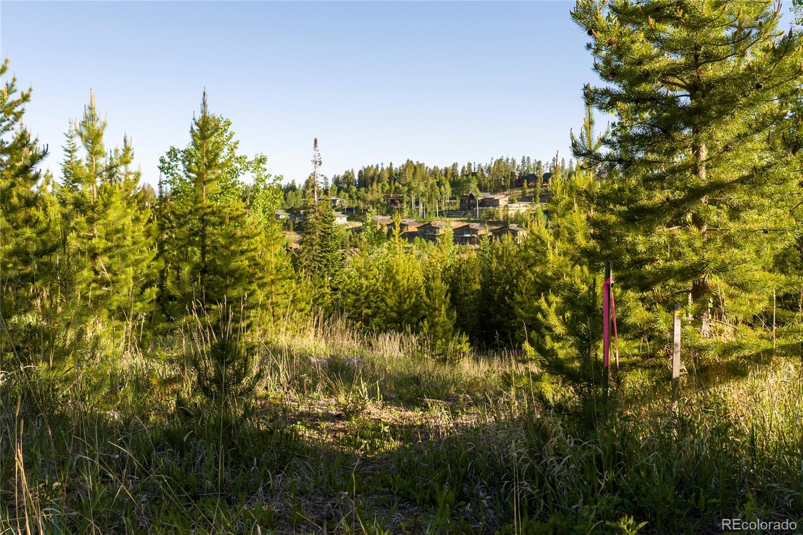 1414 Pioneer Trail