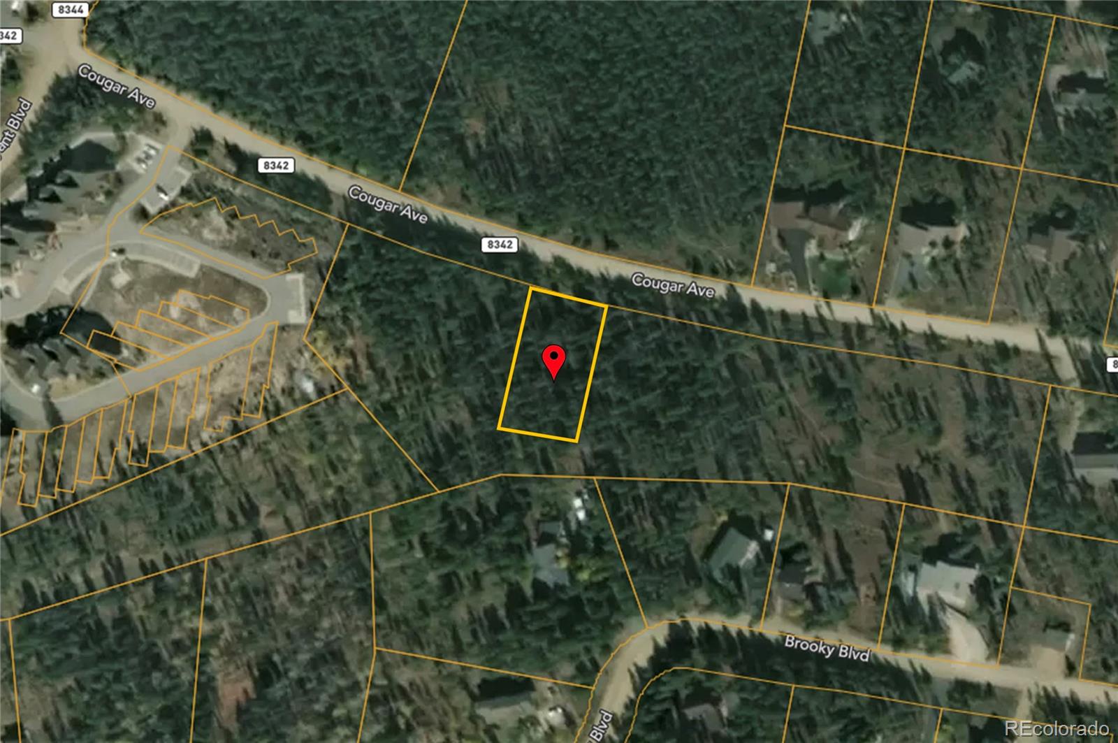 224 County Rd 8342/Cougar Dr Drive