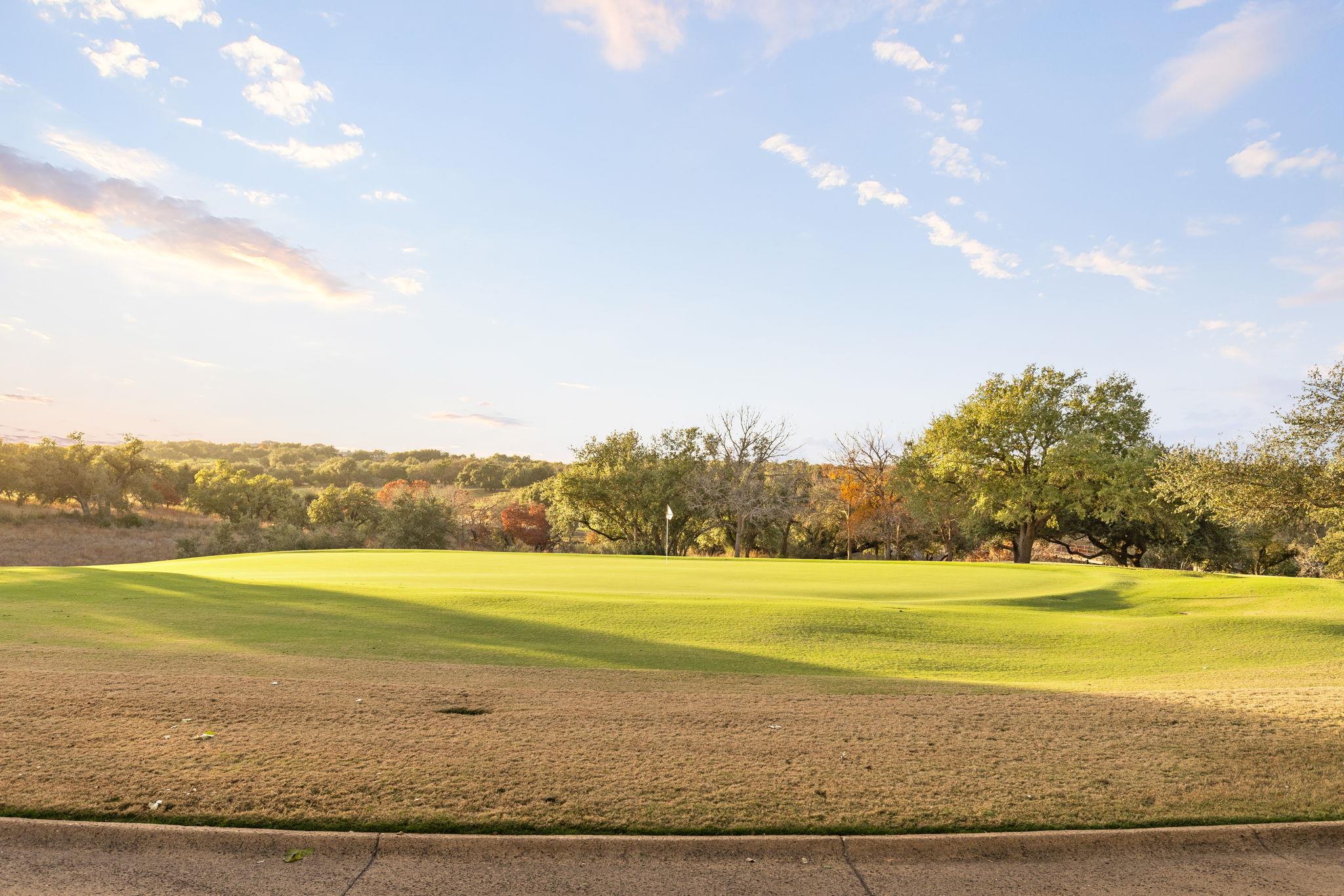 12901 Flowering Senna BND
