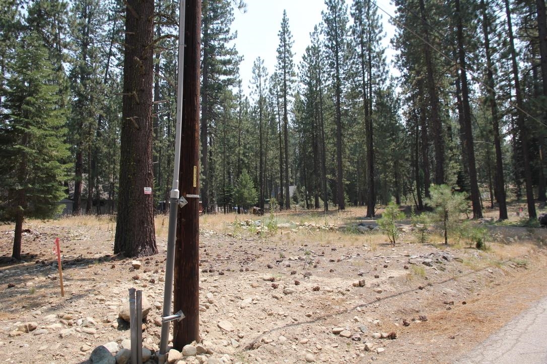 9 Paiute Trail