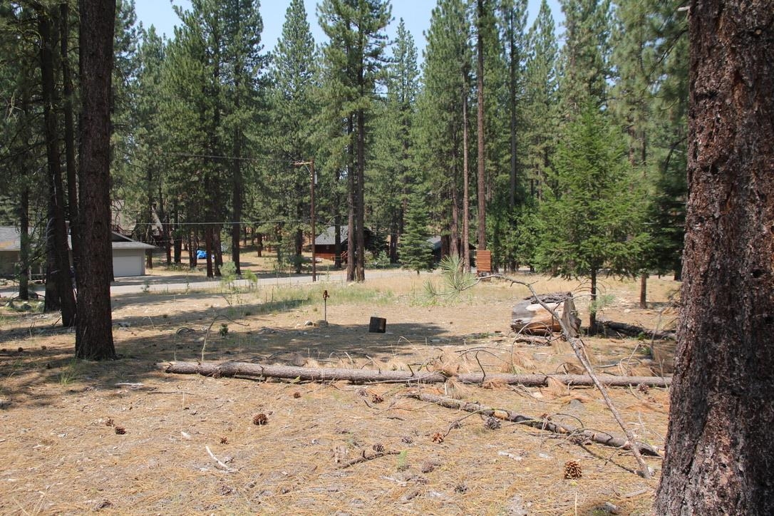 9 Paiute Trail
