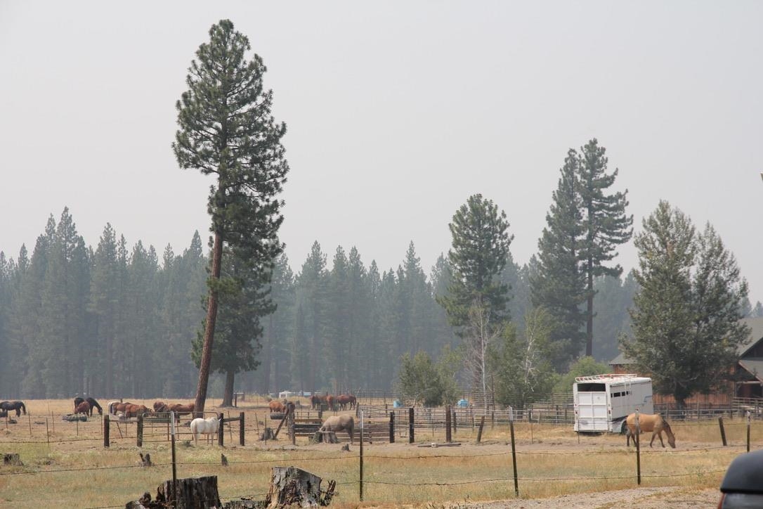 9 Paiute Trail