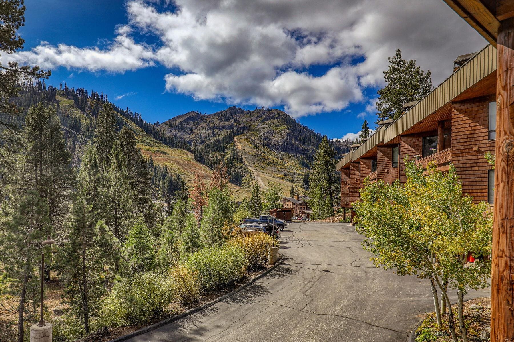 1609 Christy Hill Road Unit: B-5