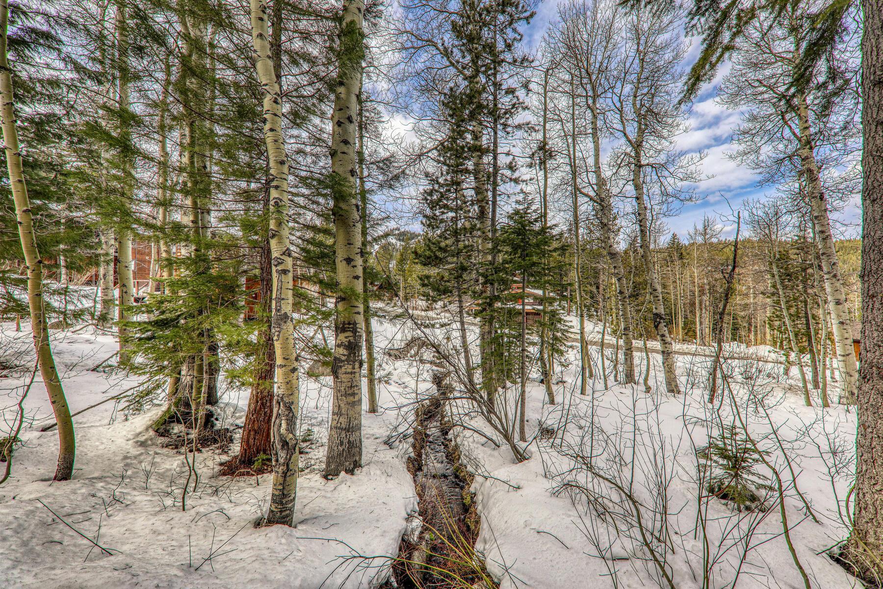 1018 Snow Crest Road