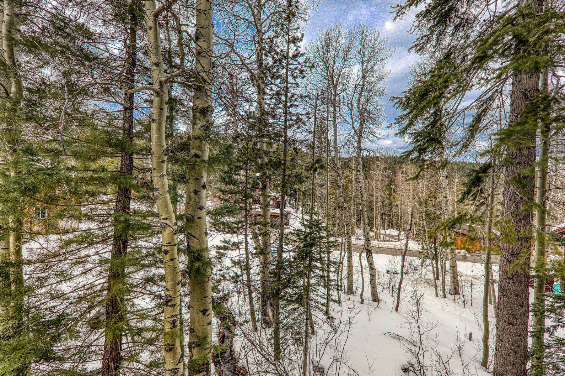 1018 Snow Crest Road