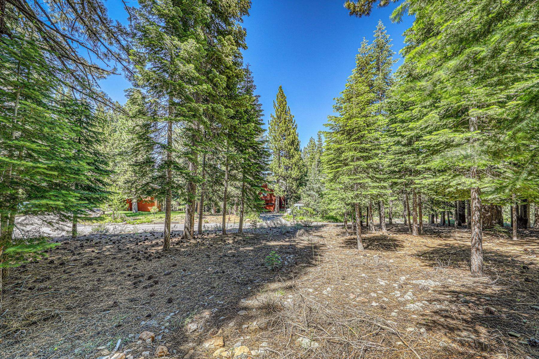 10770 Silver Spur Drive