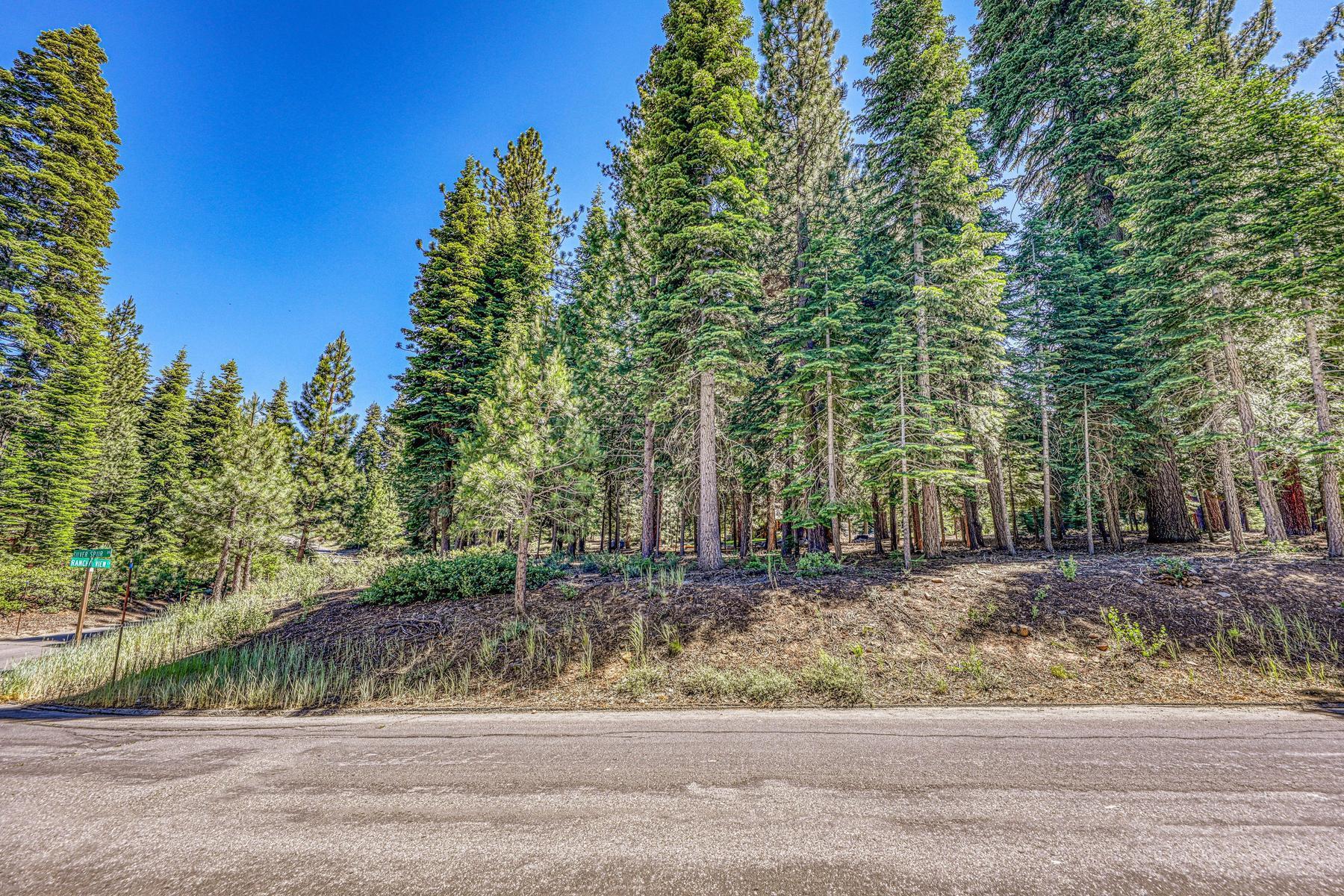 10770 Silver Spur Drive