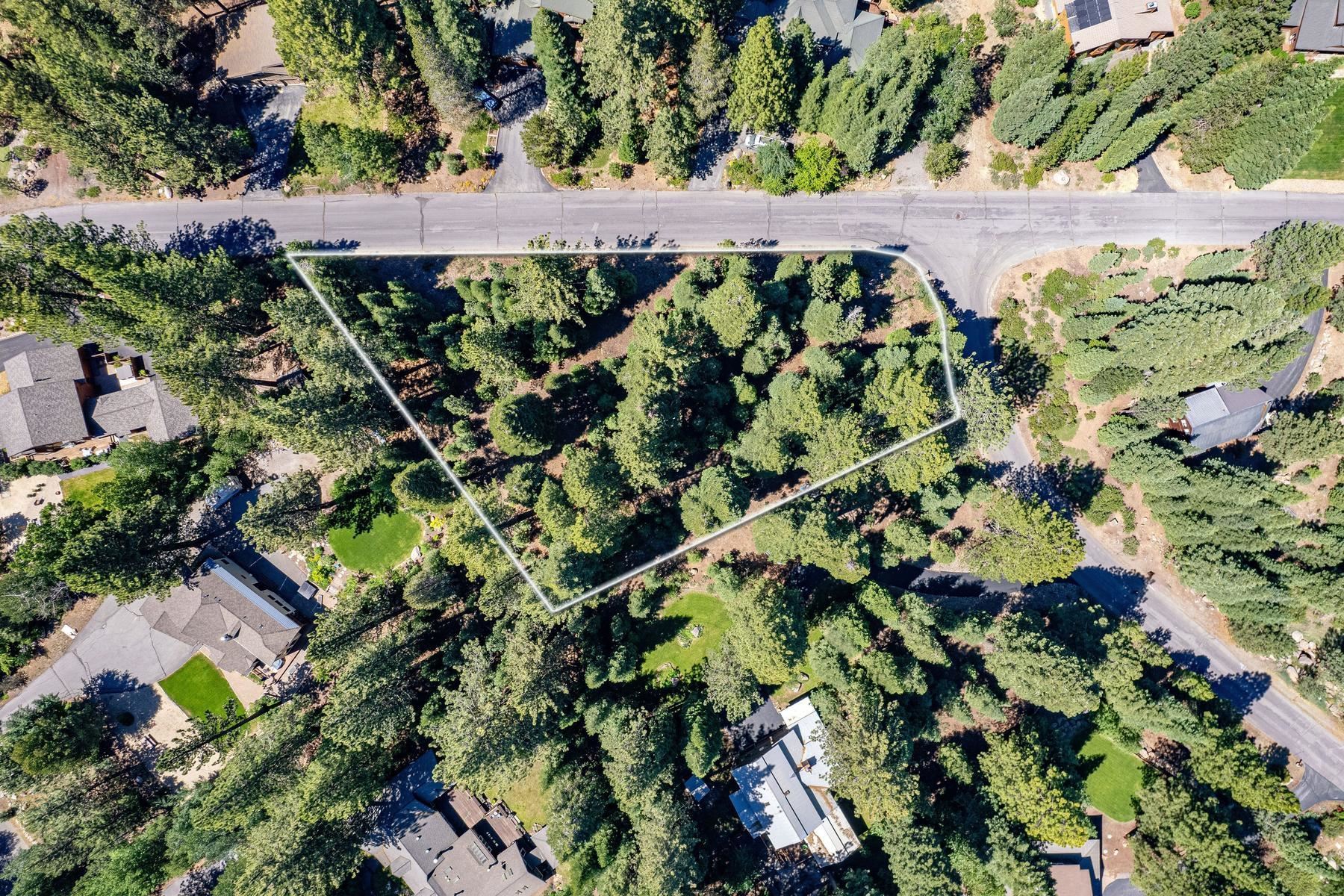 10770 Silver Spur Drive