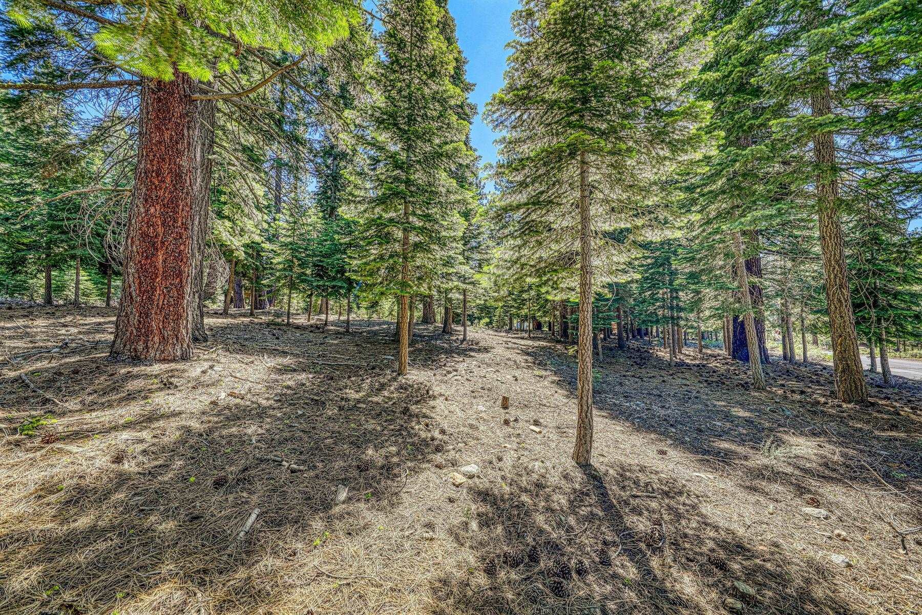 10770 Silver Spur Drive