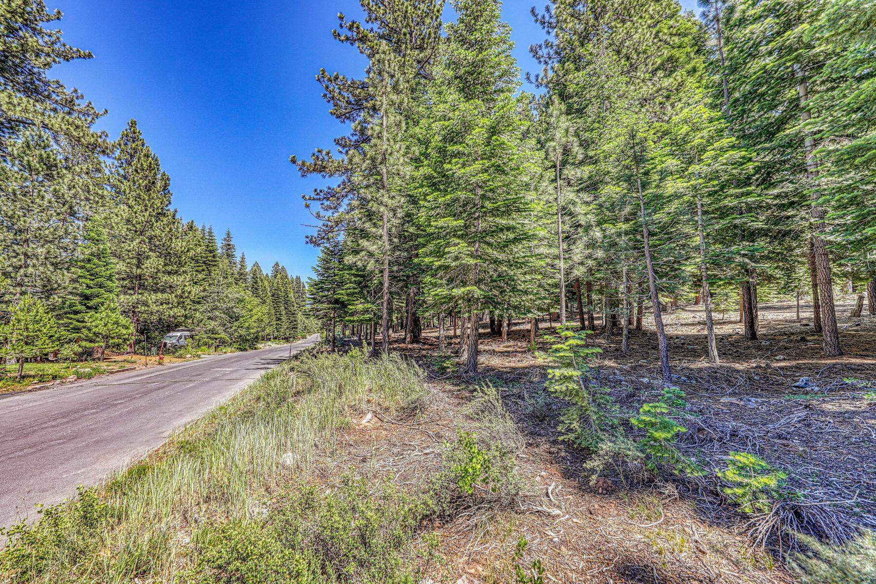 10770 Silver Spur Drive