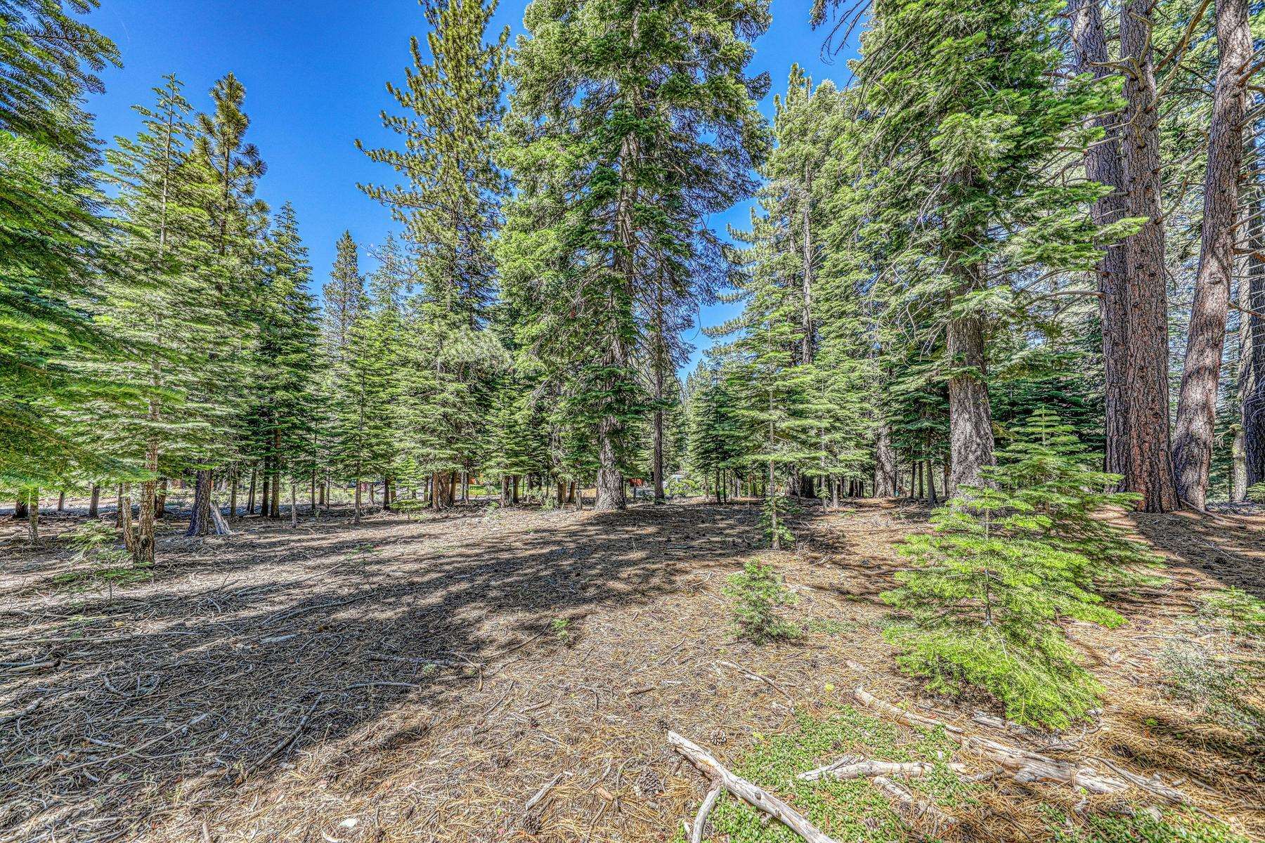 10770 Silver Spur Drive