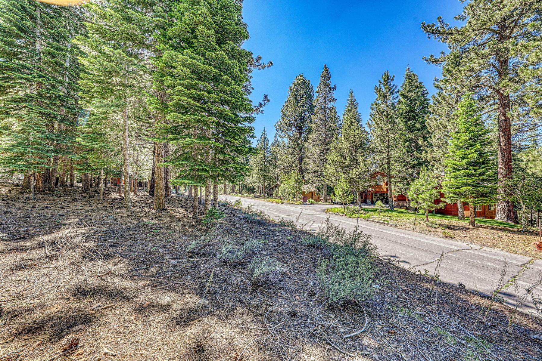 10770 Silver Spur Drive