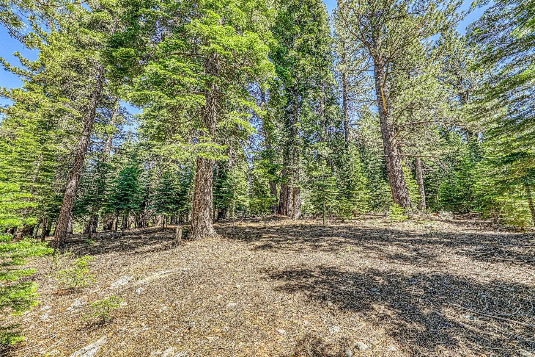 10770 Silver Spur Drive