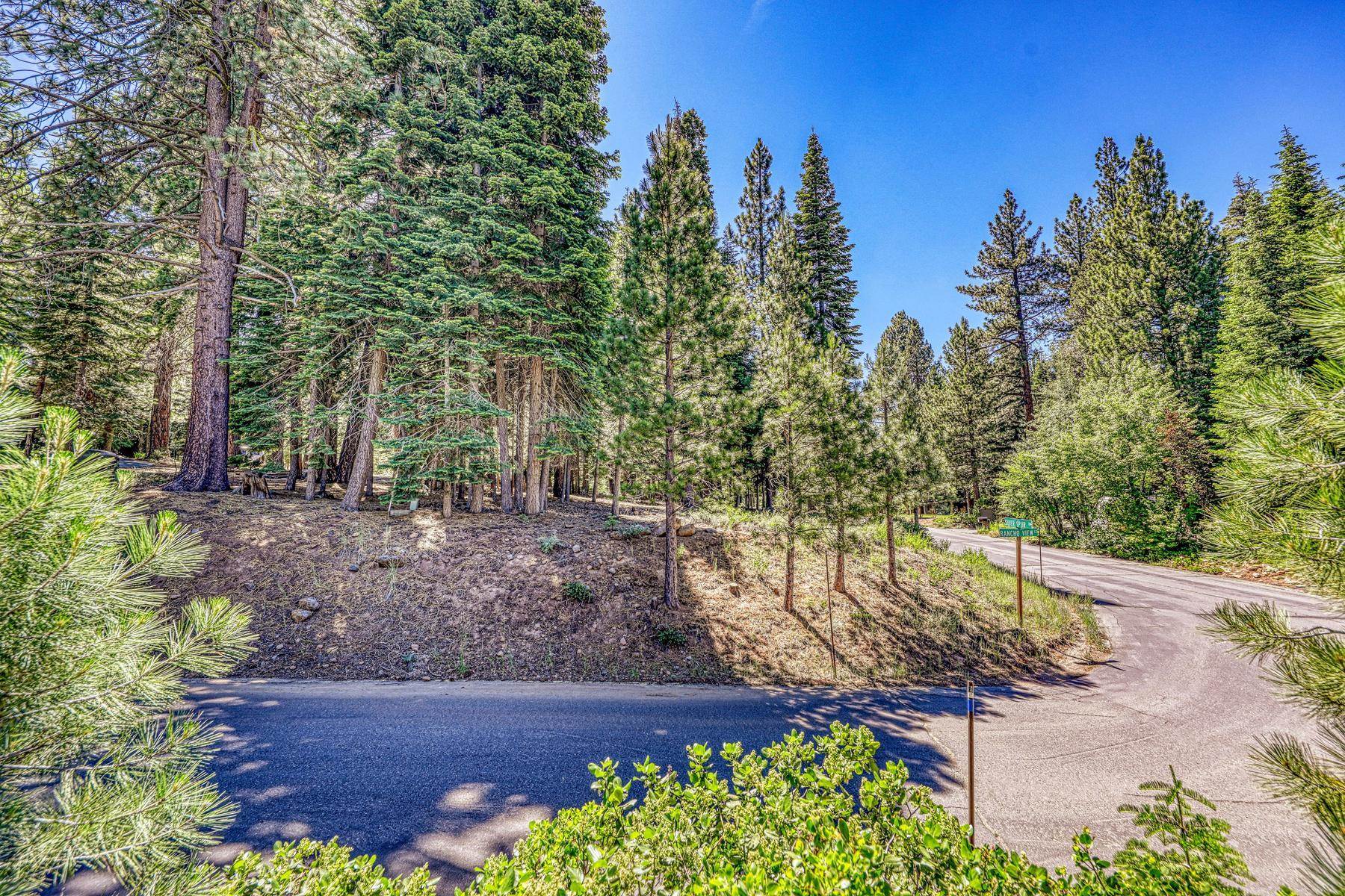 10770 Silver Spur Drive