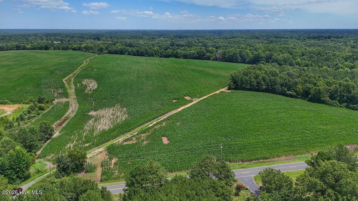 Aerial view of green crop fields bordered by woodland, crossed by farm tracks and a road.