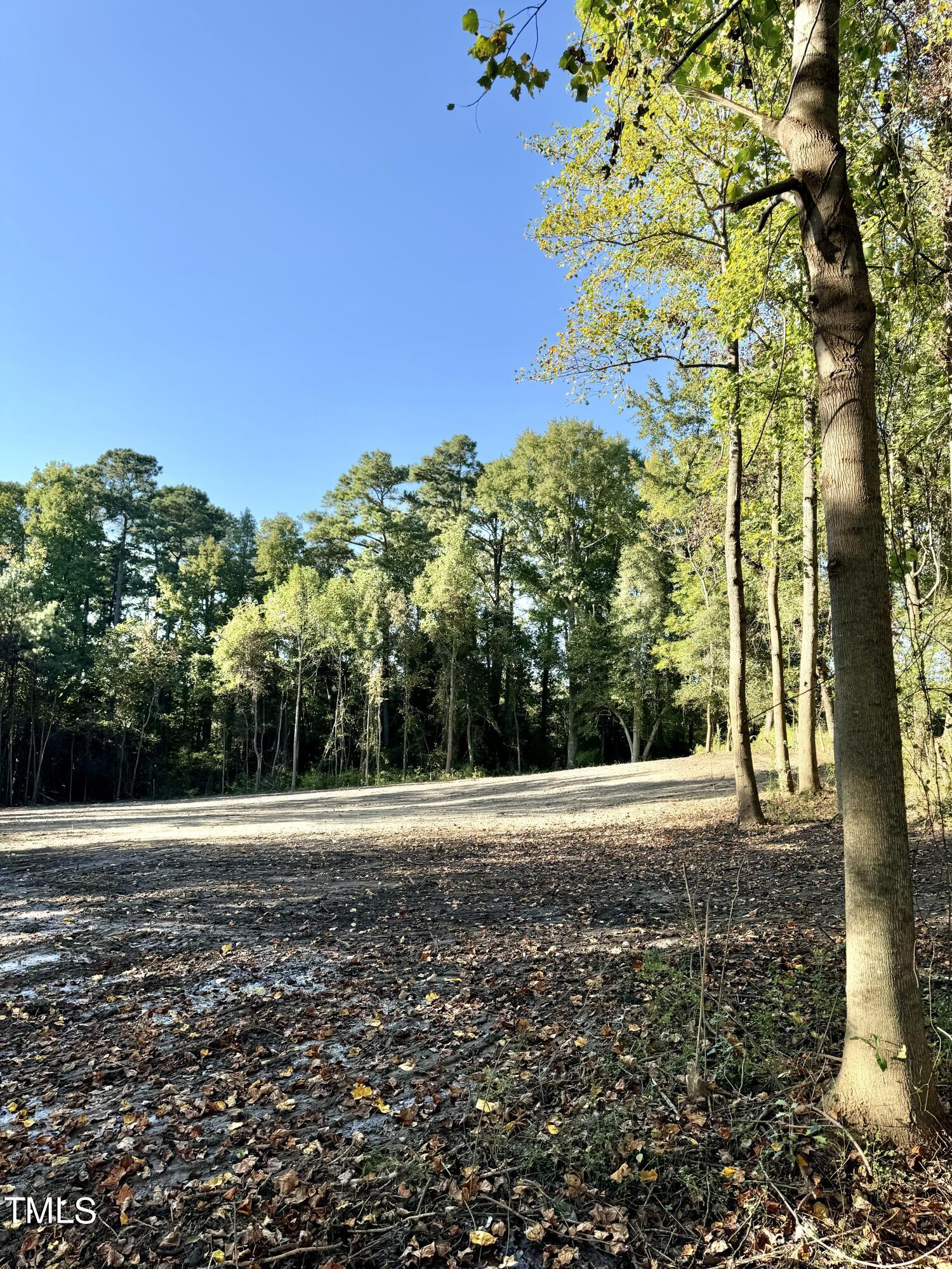 Cleared sloping lot bordered by mature trees, with fallen leaves in the foreground.