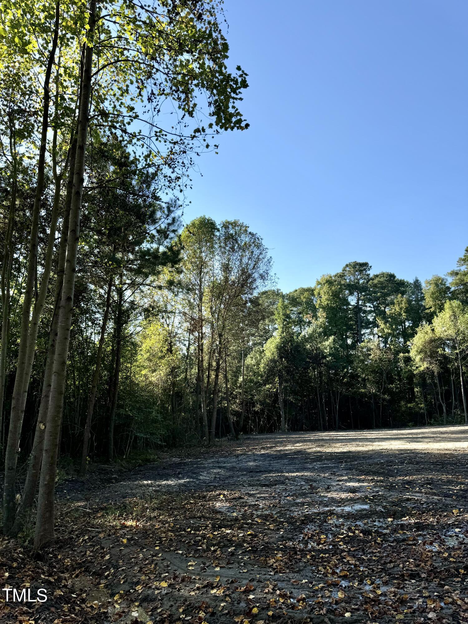 Cleared wooded lot with mature trees bordering a leaf-strewn dirt clearing.