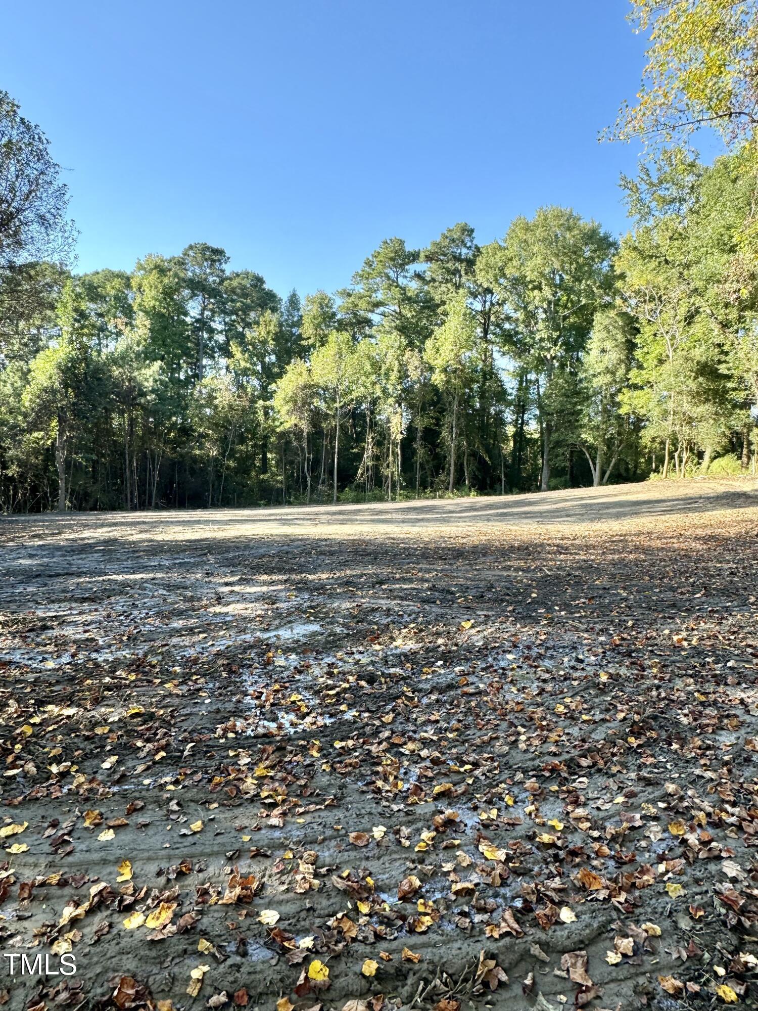 Cleared muddy lot with fallen leaves and a dense tree line.