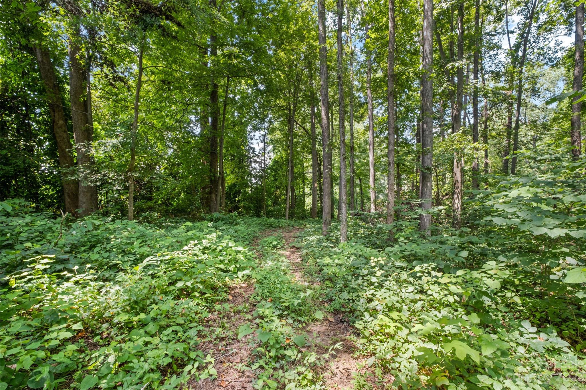 295 Torrington Drive