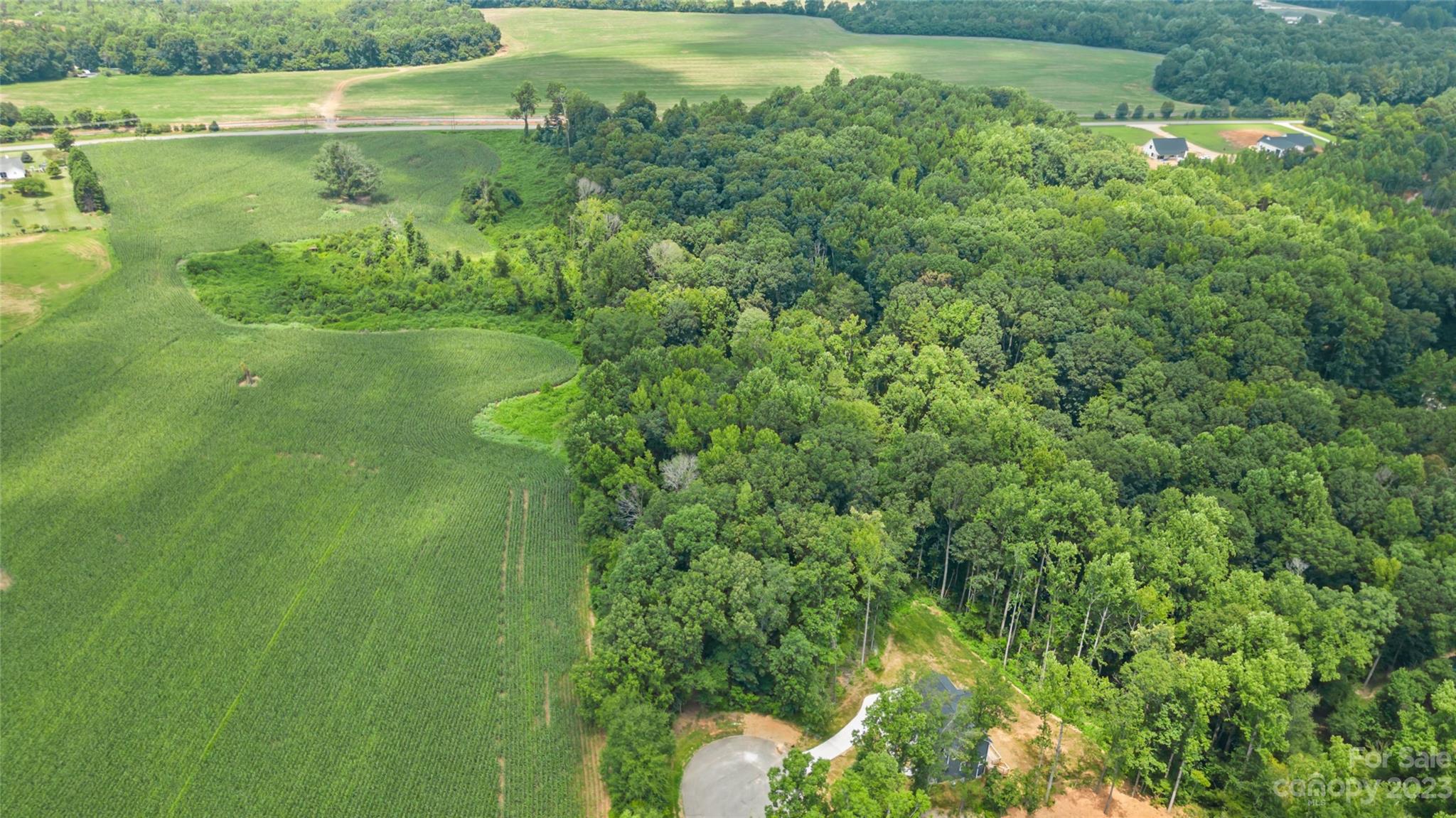 295 Torrington Drive