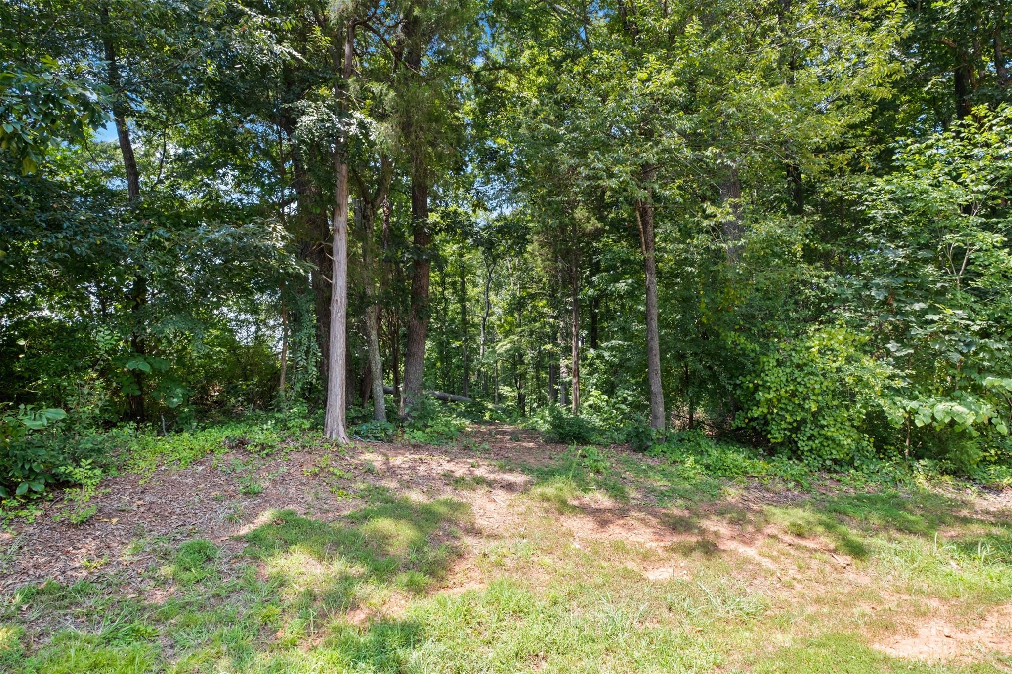 295 Torrington Drive