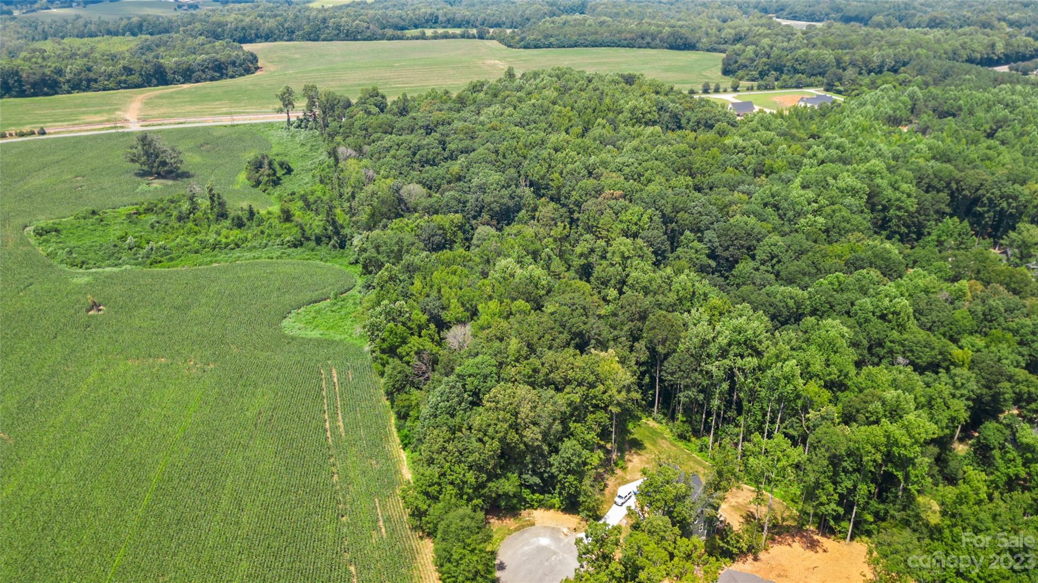 295 Torrington Drive