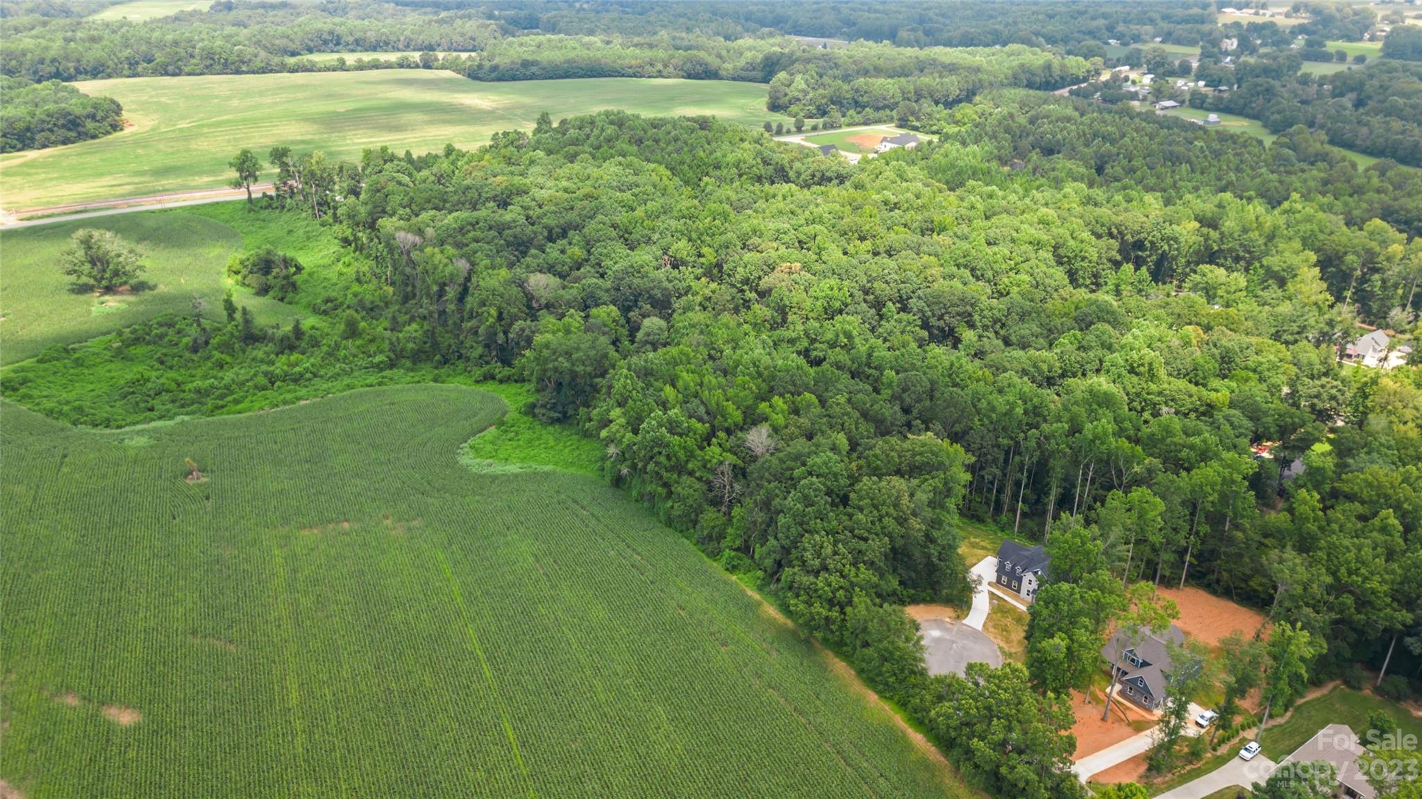 295 Torrington Drive