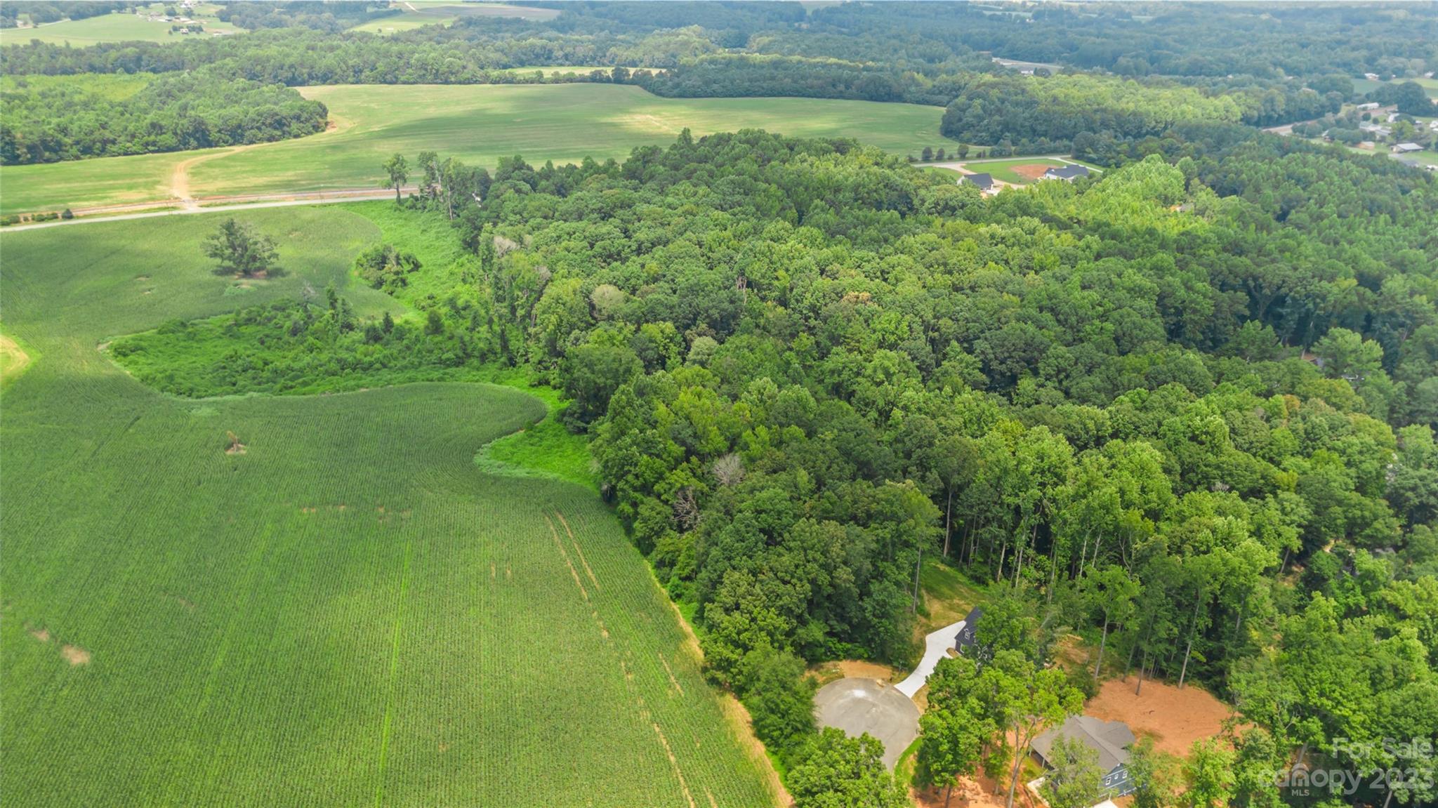 295 Torrington Drive