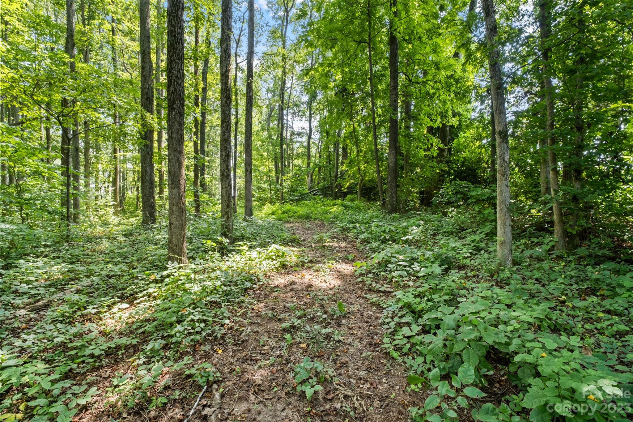 295 Torrington Drive