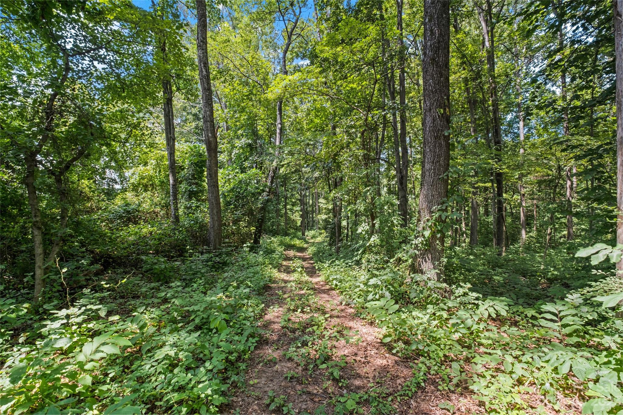 295 Torrington Drive