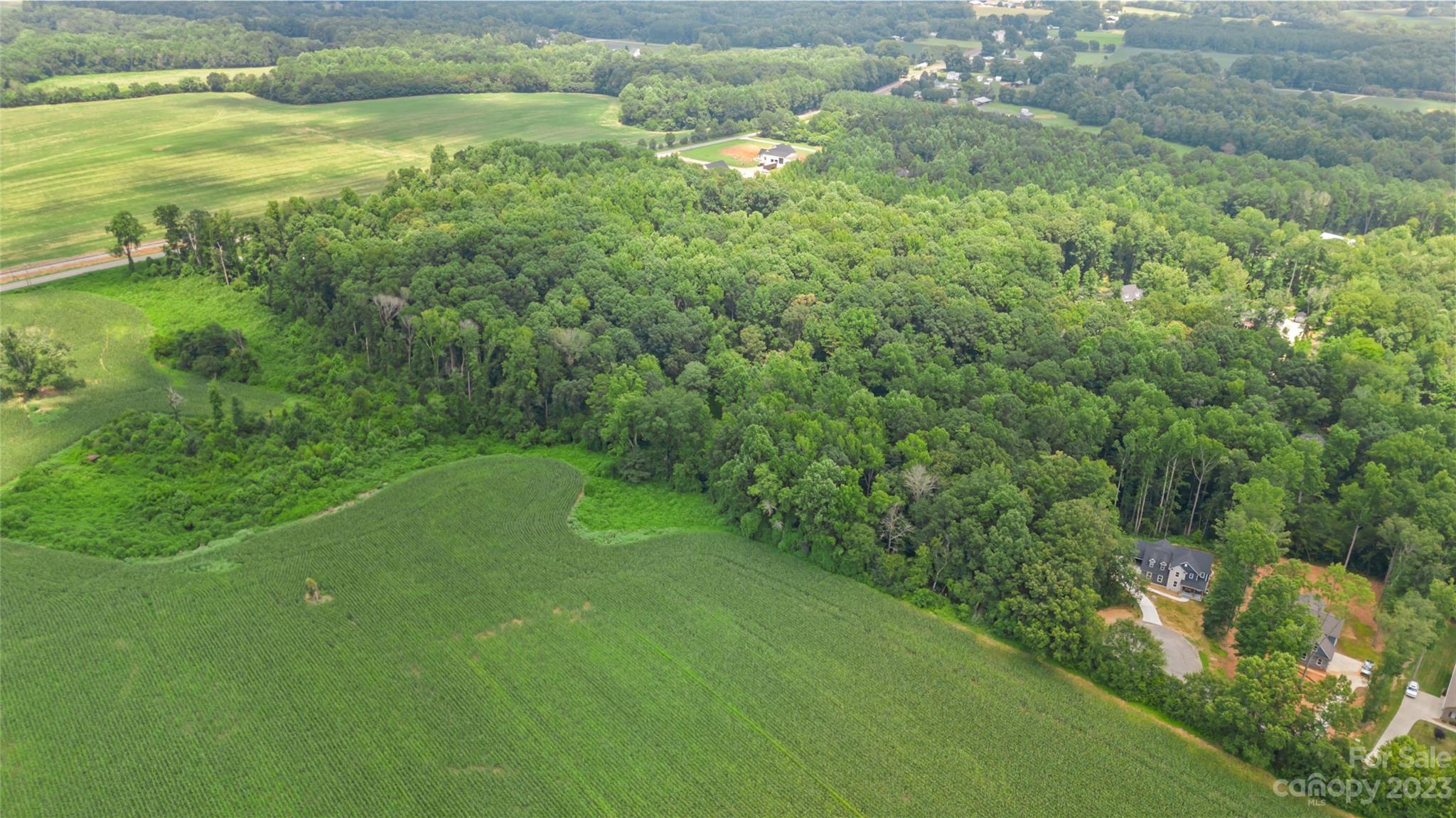 295 Torrington Drive