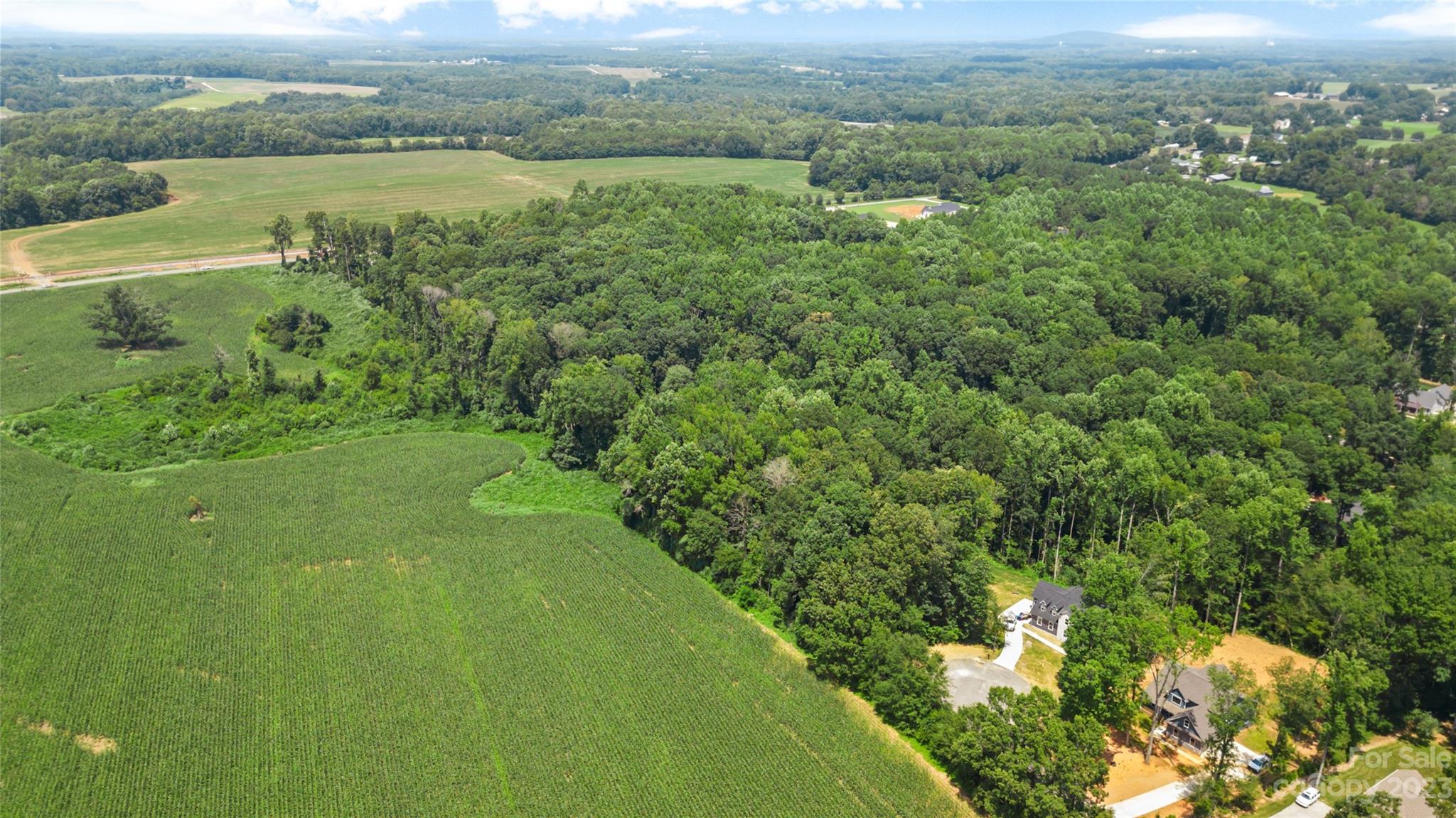 295 Torrington Drive