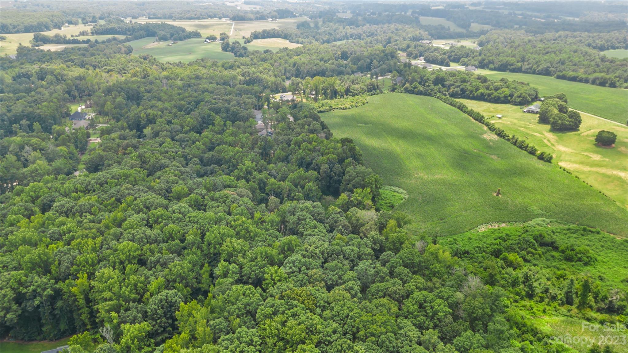 295 Torrington Drive